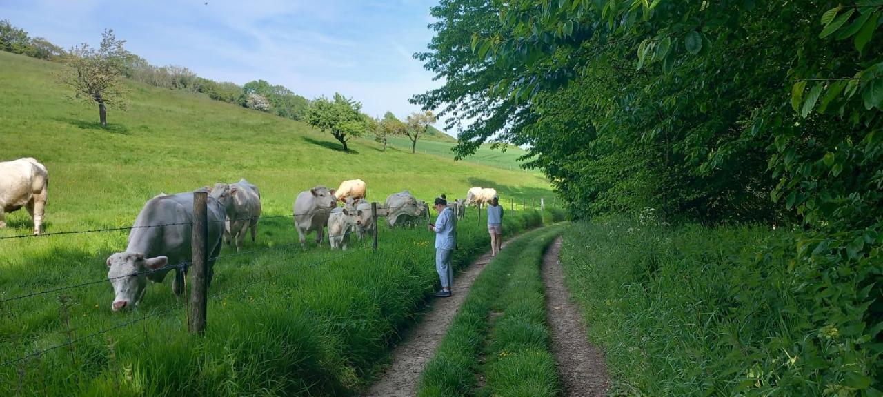 La Croisee Des Chemins Arques-la-Bataille Eksteriør billede